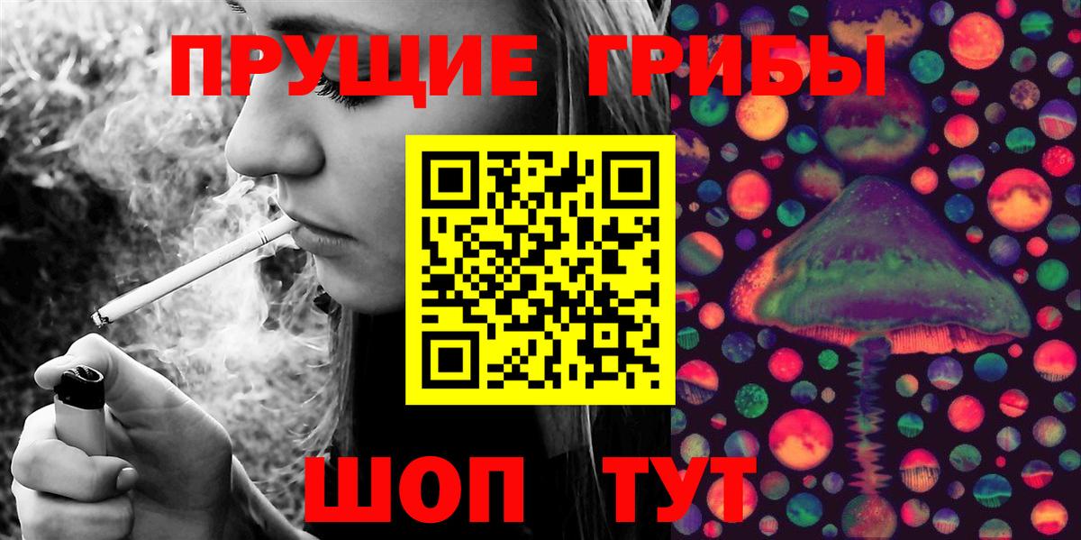 Бутурлиновка  Псилоцибиновые грибы Psilocybe  Вход с VPN  Псилоцибиновые грибы MAGIC MUSHROOMS 
