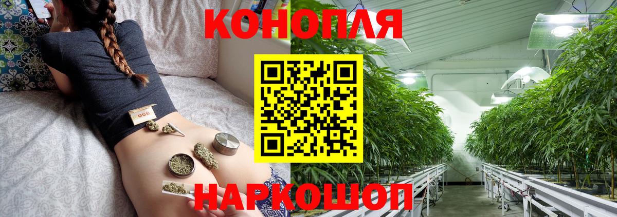 Шишки марихуана тримм  Шишки марихуана ГИДРОПОН  Бутурлиновка  Вход с VPN  Бошки Шишки тримм 